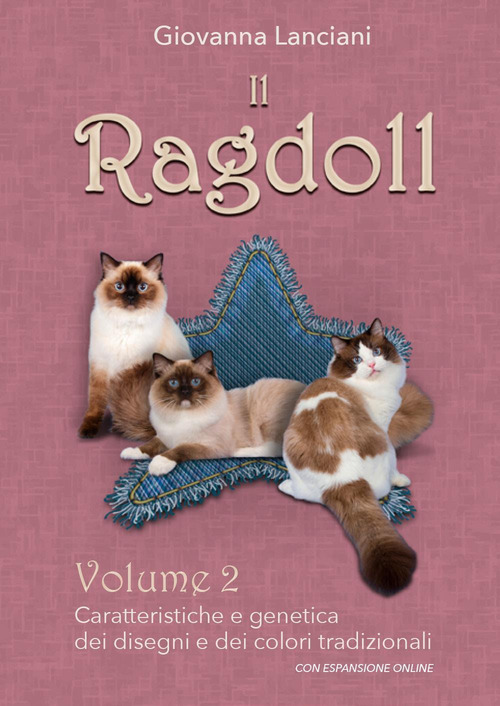 Il Ragdoll