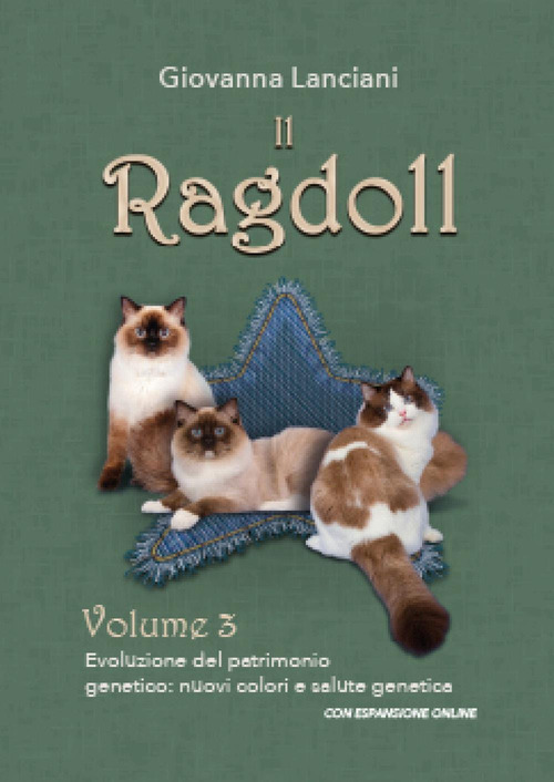 Il Ragdoll