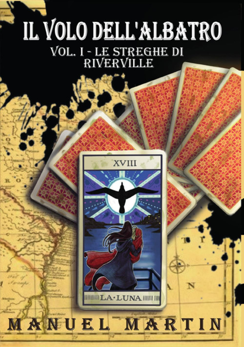 Il volo dell'albatro