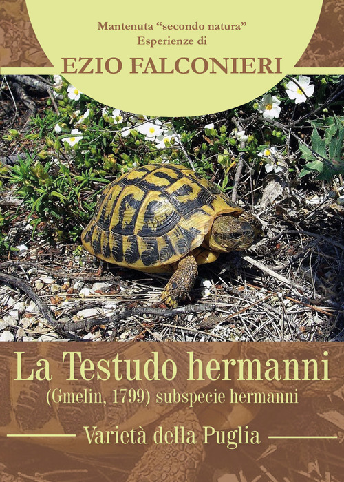La Testudo hermanni. Variet&agrave; di Puglia
