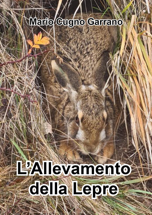 Photo gallery principale