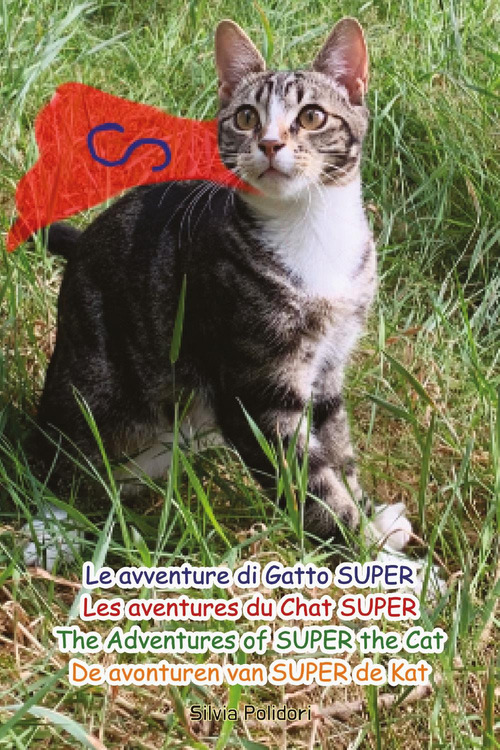 Le avventure di gatto Super-Les aventures de chat Super-The adventures of Super the cat-De avonturen van Super de Kat