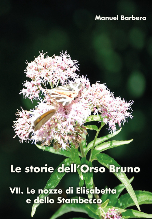 Le nozze di Elisabetta e dello stambecco. Le storie dell'orso bruno