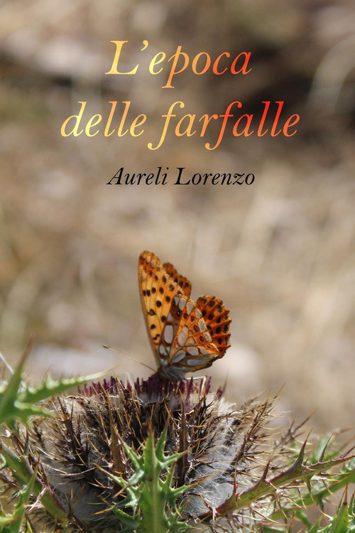 Photo gallery principale