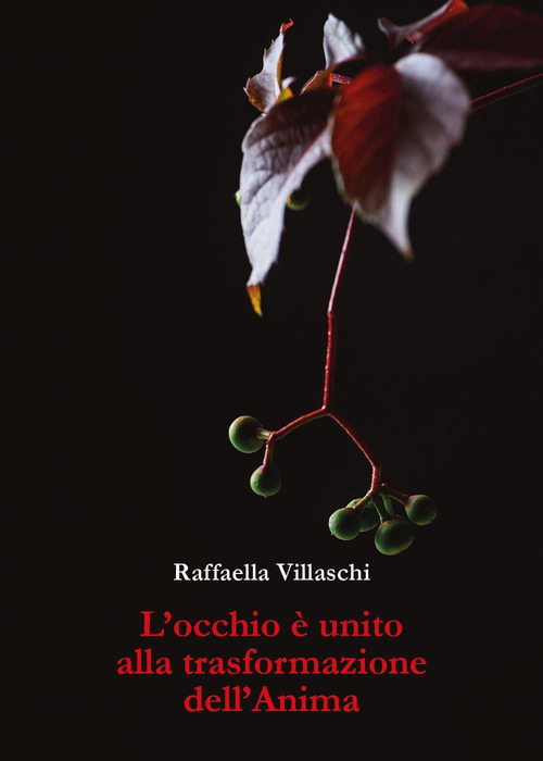 L'occhio &egrave; unito alla trasformazione dell'anima