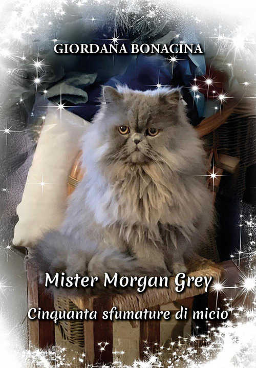 Mister Morgan Grey: cinquanta sfumature di micio