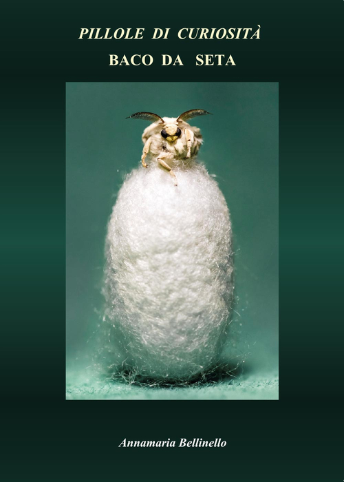 Pillole di curiosit&agrave;. Baco da seta