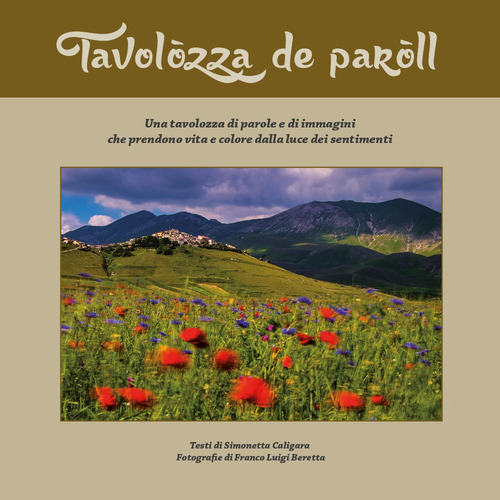 Tavol&ograve;zza de par&ograve;ll