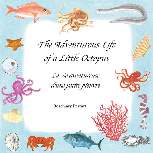 The adventurous life of a little octopus-La vie aventureuse d'une petite pieuvre