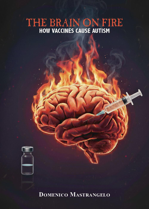 The brain on fire: how vaccines cause autism