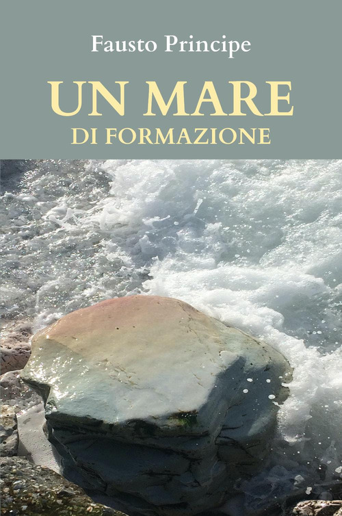 Un mare di formazione. Piccola guida pratica per navigare sicuri nella docenza della formazione d'aul