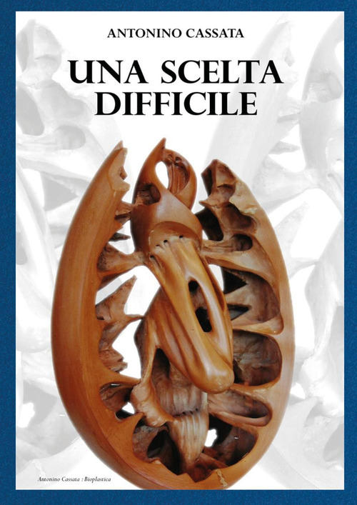 Una scelta difficile