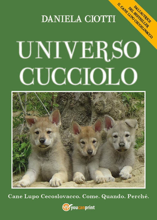 Universo cucciolo. Cane lupo cecoslovacco. Come. Quando. Perch&egrave;