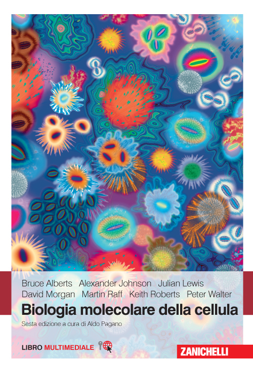 Photo gallery principale