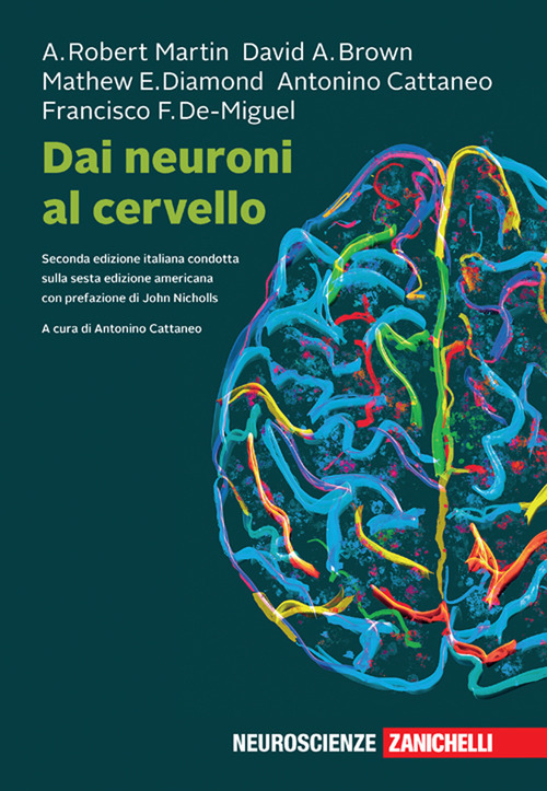 Dai neuroni al cervello