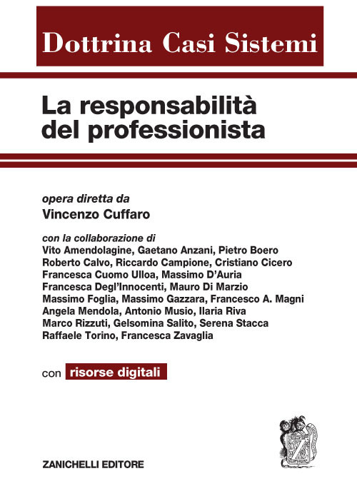 La responsabilit&agrave; del professionista